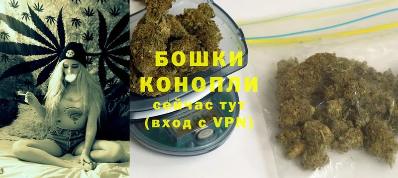 Шишки марихуана White Widow  наркота  Нолинск 